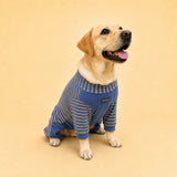 Labrador Four-Leg Lounge Onesie product thumbnail