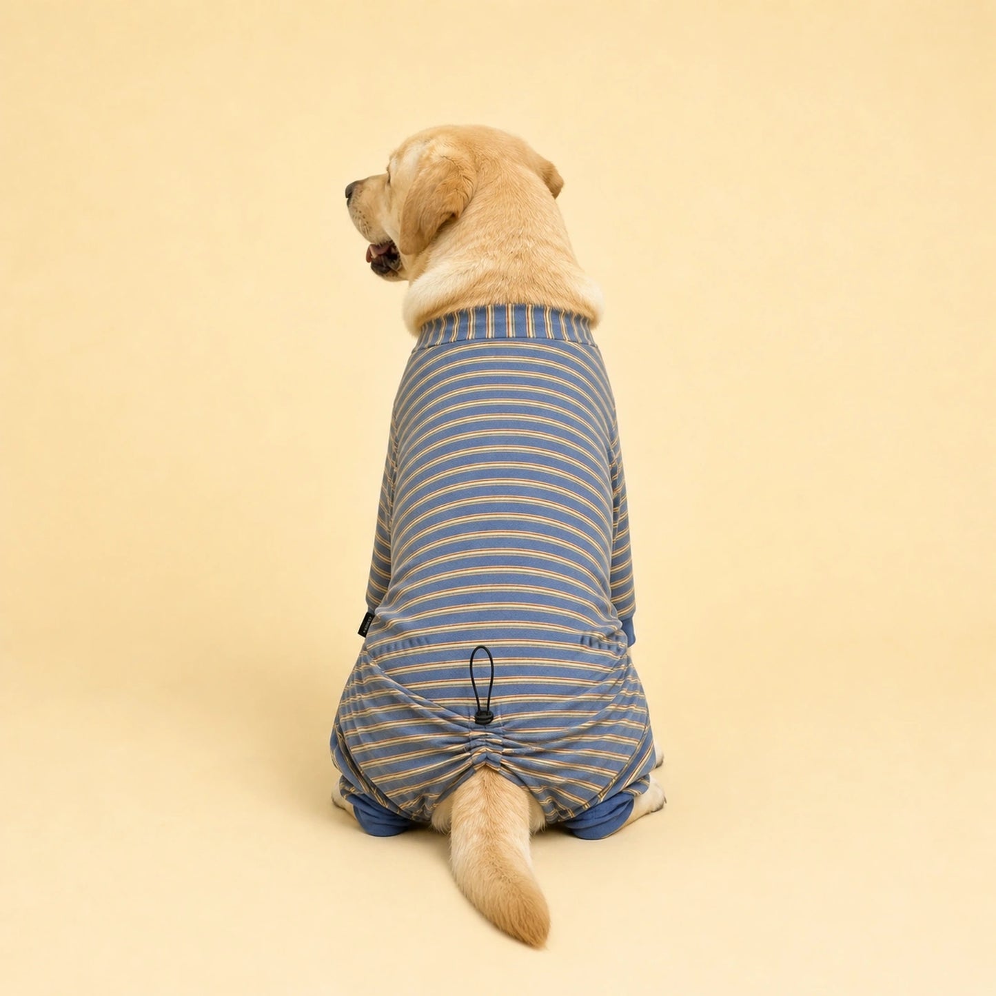 Back view of Lucy the Labrador wearing a blue four-leg lounge onesie