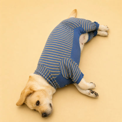 Side view of Lucy the Labrador resting in a blue four-leg lounge onesie
