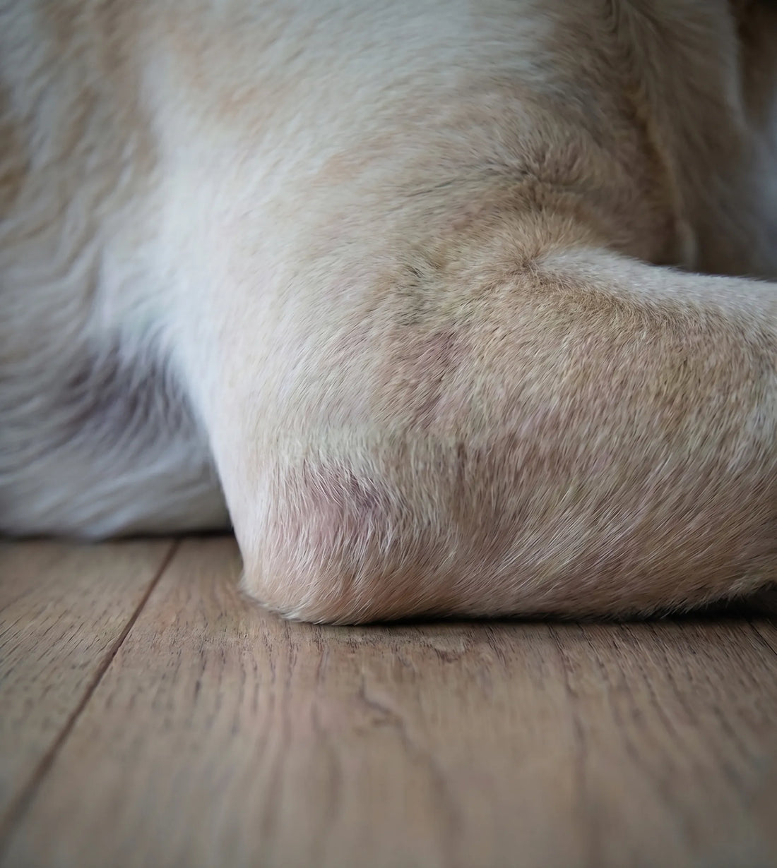Bare elbows on hard floors